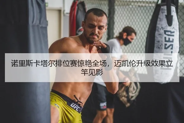诺里斯卡塔尔排位赛惊艳全场，迈凯伦升级效果立竿见影